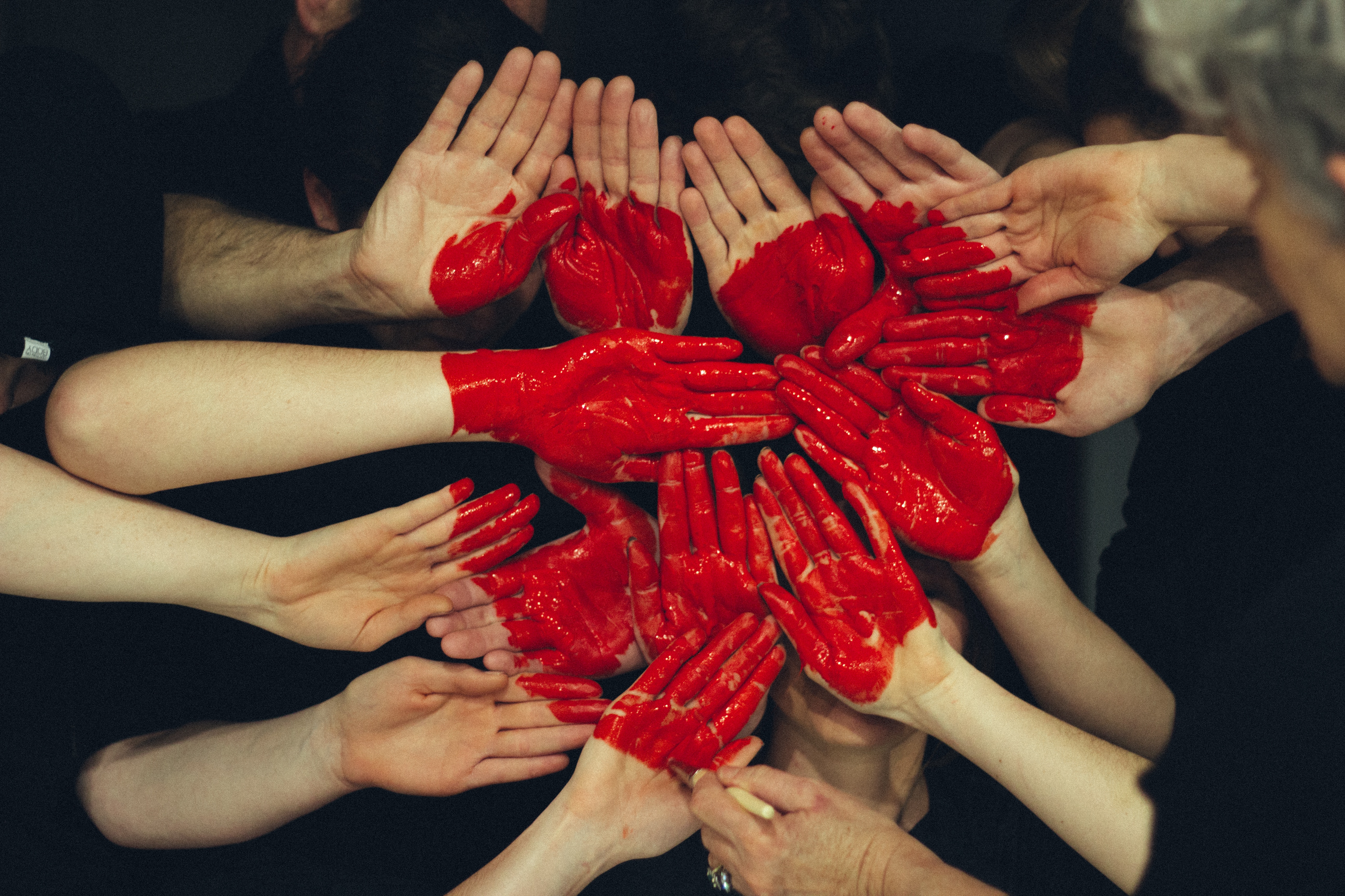 volunteer at the montgomery country food bank in the woodlands