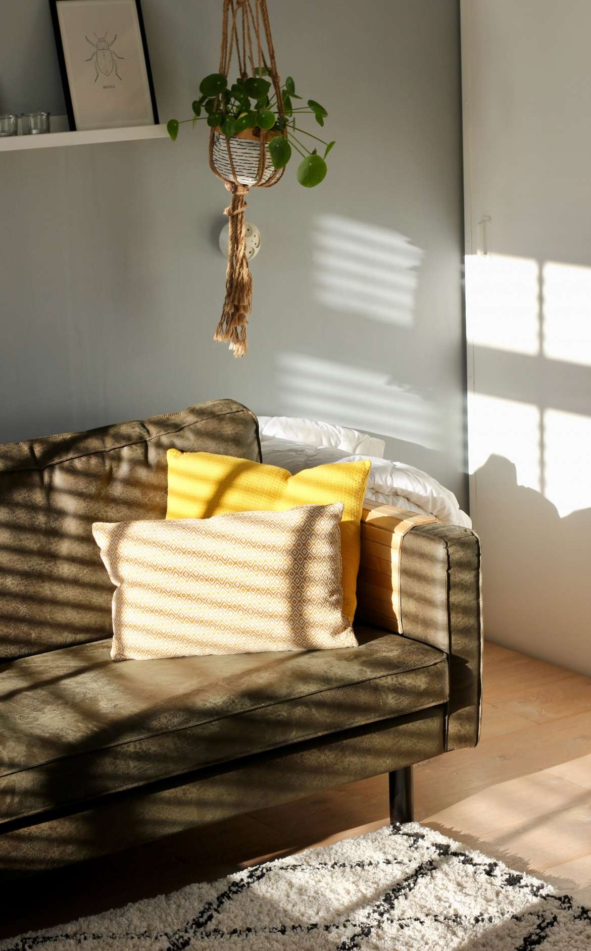 couch with pillows and scattered sunlight