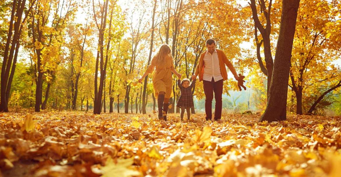 Spring, Texas Fall Bucket List