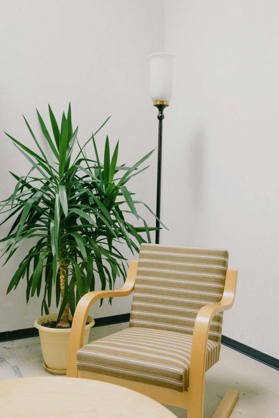 77095 Real Estate Market Update November 24, 2025