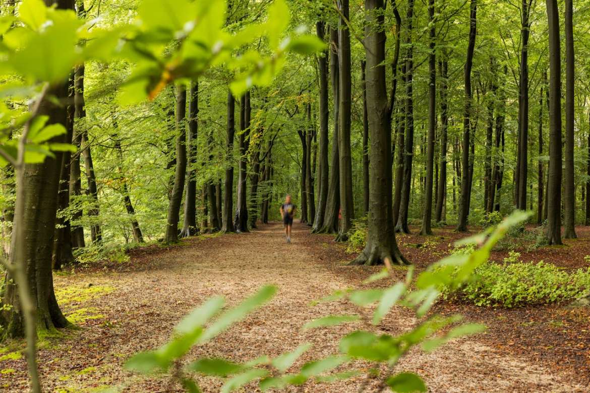 Best Neighborhoods in Conroe & Montgomery, Texas Near Nature Parks & Trails (2025) Your Move-to-Lake Conroe Guide