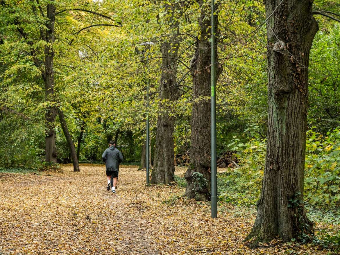 Best Neighborhoods in Magnolia, Texas Near Nature Parks & Trails (2025) Your Move-to-Magnolia Guide