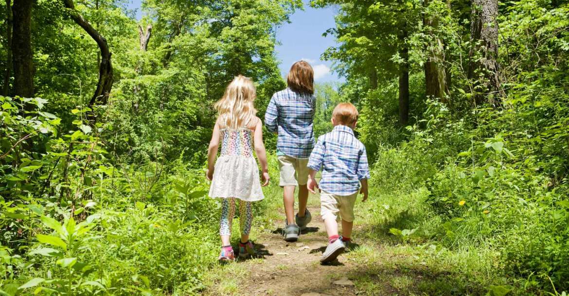 Best Neighborhoods in Missouri City, Texas Near Nature Parks & Trails (2025) | Your Move-to-Missouri City Guide