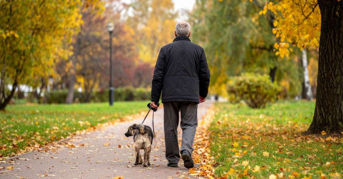 Best Neighborhoods in Porter & New Caney, Texas Near Nature Parks & Trails (2025) Your Move-to-Porter Guide