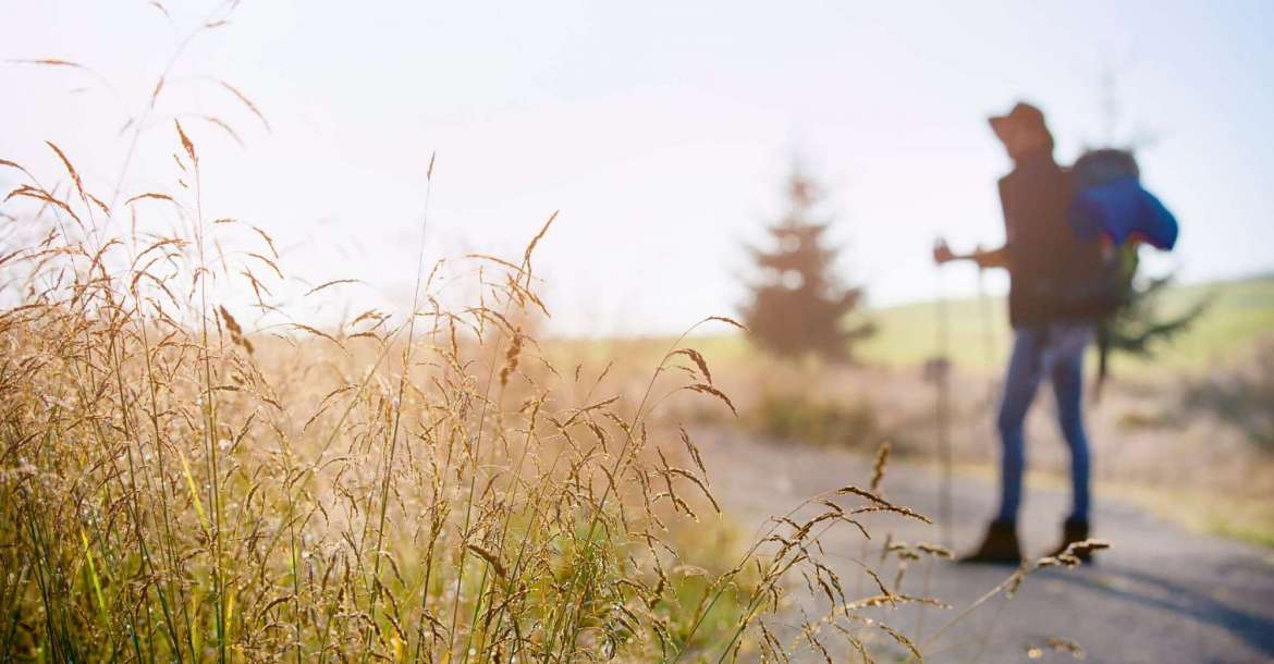 Best Neighborhoods in Sugar Land, Texas Near Nature Parks & Trails (2025) Your Move-to-Sugar Land Guide