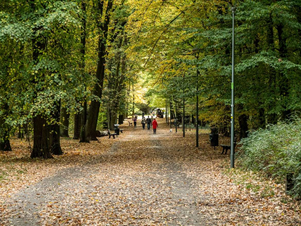 Best Neighborhoods in Tomball, Texas Near Nature Parks & Trails (2025) Your Move-to-Tomball Guide